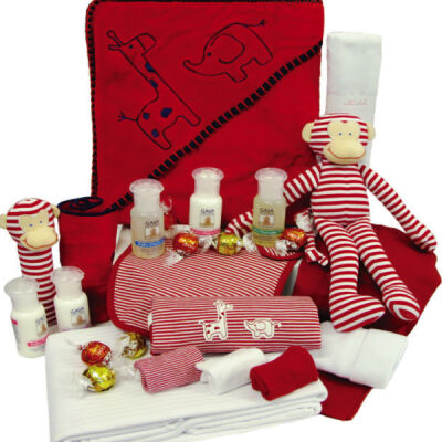 My Ultimate Cheeky Monkey gift set Thumbnail