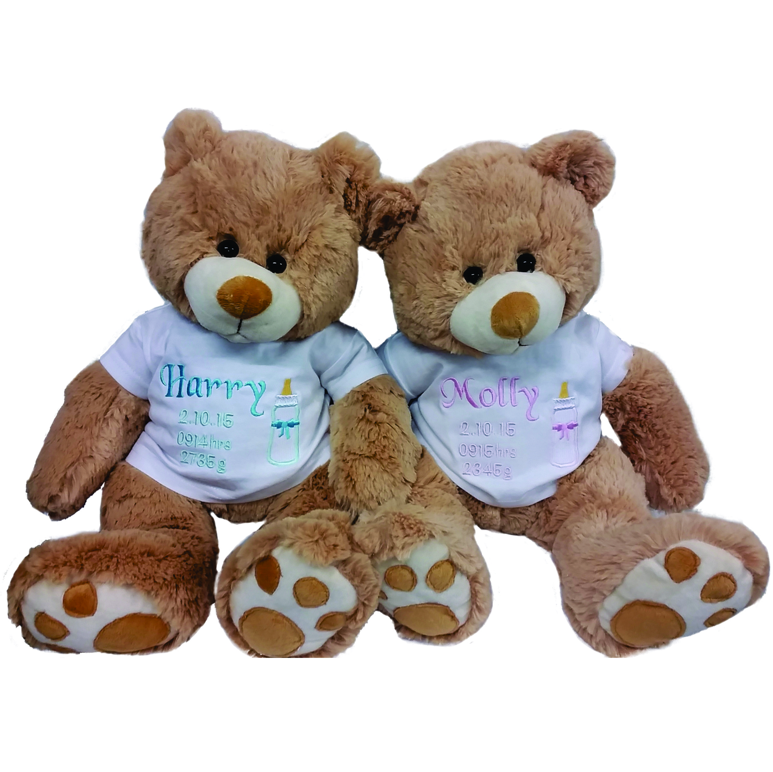 twin teddy bears