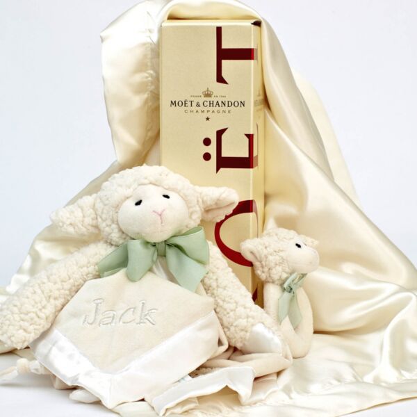 Cuddles and Moet Bubbles Gift Box Thumbnail