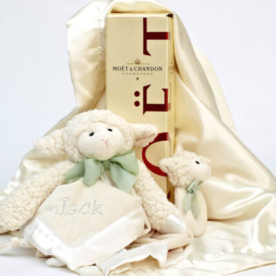 Cuddles and Moet Bubbles Gift Box Thumbnail